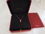 ����� Cartier Panthere de Cartier, ������� ������