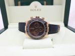 Rolex 116515LN Chocolate Cosmograph Daytona Everose Gold