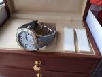 Ulysse Nardin Lady Marine Diver  8103-101-3/03