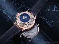 ������������ �������� ��������� - ���� RICHARD LANGE PERPETUAL CALENDAR "Terraluna" (����)