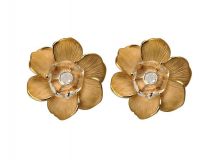 ������ Gardenia Carrera y Carrera