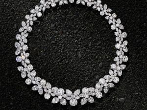 ����� ������������ ���� � ��������� ��������� Harry Winston (����� �������) � �������